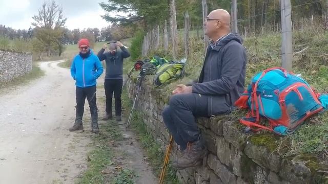 Affamato come un lupo смотреть онлайн