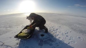 Готовлю закорм и подробно показываю у стадиона .  Сектор Дальнего .Маныч от Юрия Философа