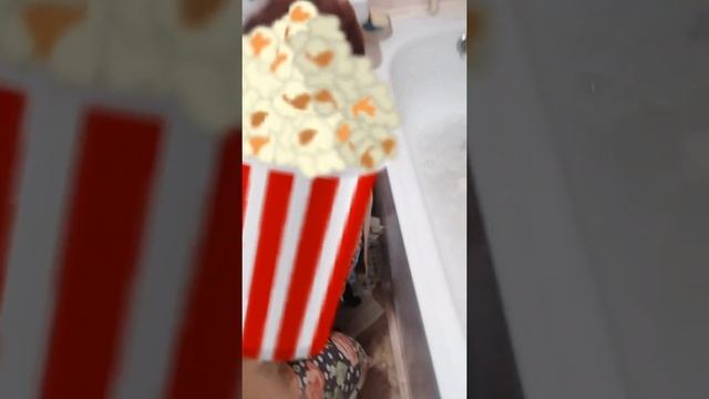 Первый раз помыли кота 😂 смотреть онлайн