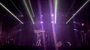 Дельфин - Dolphin - Мы