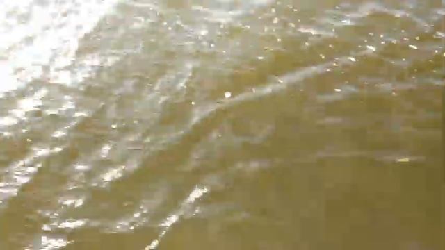 Напарник тащит 6,5 кг смотреть онлайн