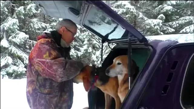 ОХОТА НА ЗАЙЦА ПО СНЕГУ .Русская гончая Аргон вл. Шатров В.А.#охотасгончей#собака#топ#hunting смотреть онлайн