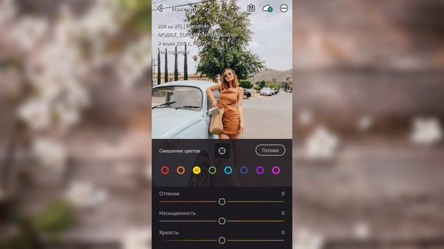 Обработка фото популярного зарубежного блогера @emilyvartanian