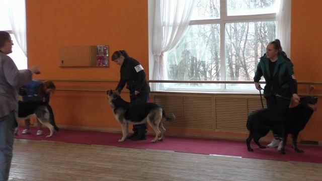 Сравнение на ЛС