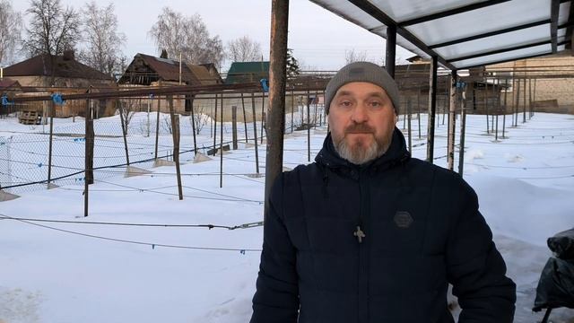 Как выбрать место для посадки винограда