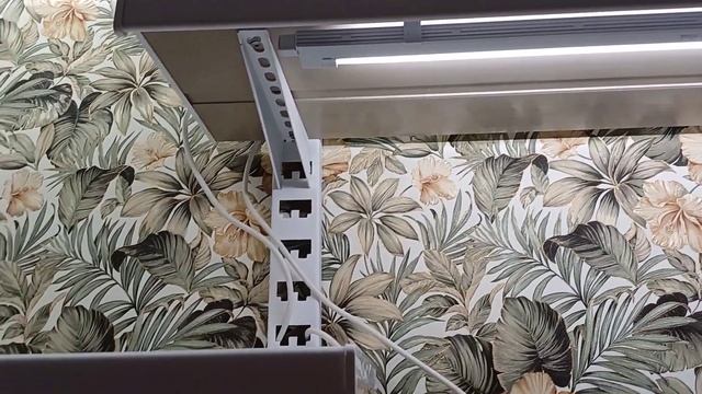 Как устроена моя основная цветочная зона☘️🌿🍀 смотреть онлайн