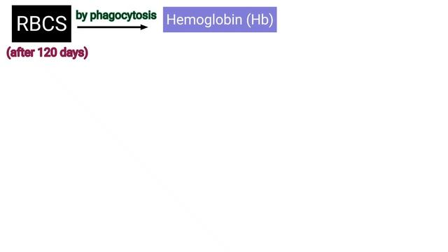 Heme Catabolism | Bilirubin Metabolism | types of jaundice #biochemistry #metabolism #hemoglobin смотреть онлайн