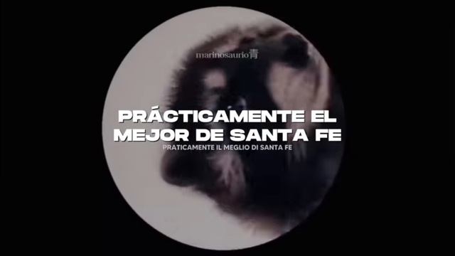 PEDRO﹥ Jaxomy, Agatino Romero, Raffaella Carr`a