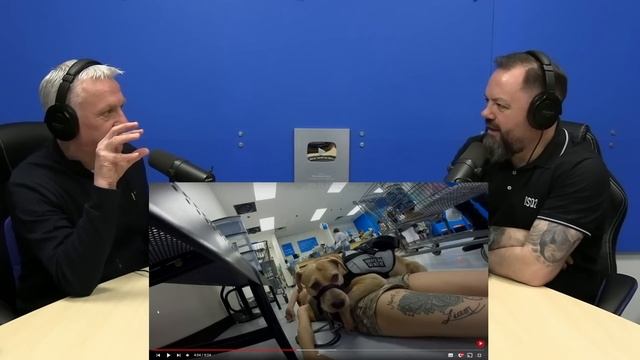 37 Hero Animals that Saved Human Lives ! REACTION | OFFICE BLOKES REACT!! смотреть онлайн