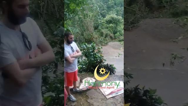 Jamaica - Blue Mountain Coffee Tour #BlueMountaincoffee #Tour #Jamaica #Coffee #Privatetour смотреть онлайн