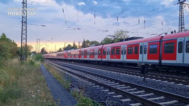 BR 430 Langzug Abzweigstelle Kostheim смотреть онлайн