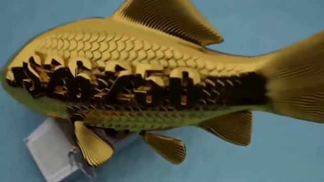 Бизнес возможности с Jeunesse Global Https://mari55.jeunesseglobal.com