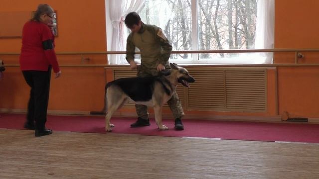 Класс чемпионов