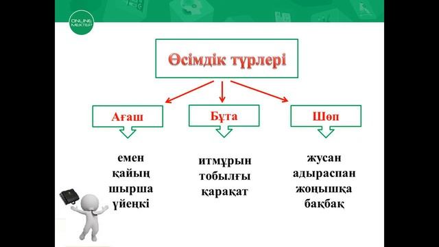 Жаратылыстану 1 сынып. №3 сабақ смотреть онлайн