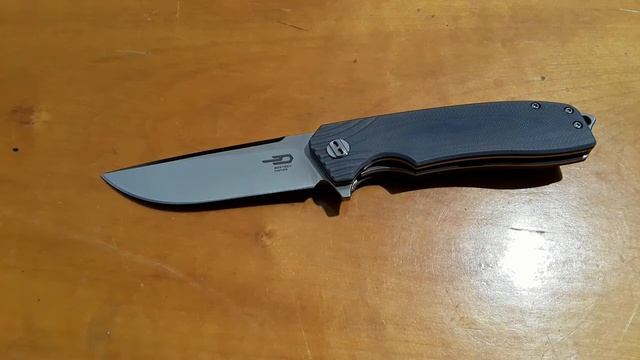 Bestech Lion Review (King Of The Budget Knife Jungle?)