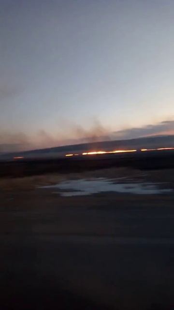 Пожары в Забайкалье смотреть онлайн