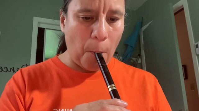 Into the Mystic tin whistle смотреть онлайн
