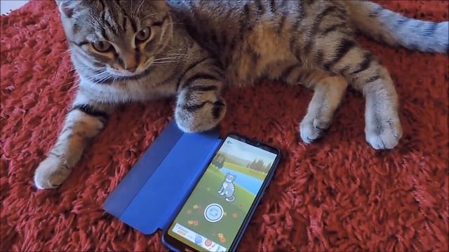 Космос и котопереводчик :) смотреть онлайн