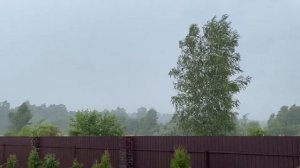Дождь… Гроза … Ветер