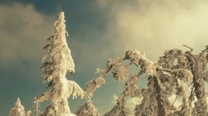 Симеон Афонский о молитве, учебе у старца, вхождении в Предание и о фальшивой духовности