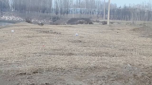 Hatsan 135 .177 ХАТСАН 135 ПИНЕВМАТ смотреть онлайн