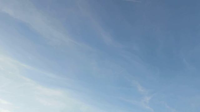 Mauersegler смотреть онлайн