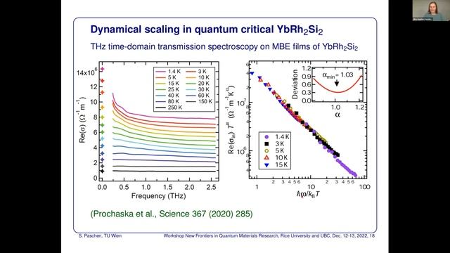 Silke Paschen: Electronic localization-delocalization transitions in heavy fermion compounds смотреть онлайн