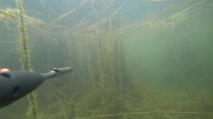 Подводная охота март 2024. Маныч, Веселовского водохранилище.