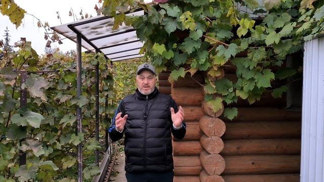 Как приготовить ВКУСНОЕ ДОМАШНЕЕ ВИНО: простой и быстрый рецепт из винограда. смотреть онлайн