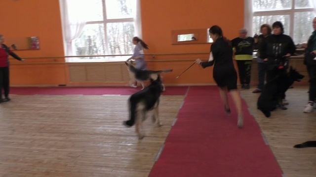 Класс промежуточный
