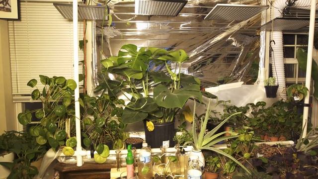 Artificial Sun: Mrhua 600w Light Review смотреть онлайн