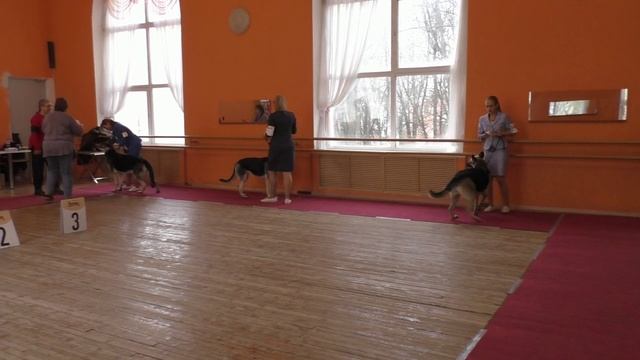 Класс открытый