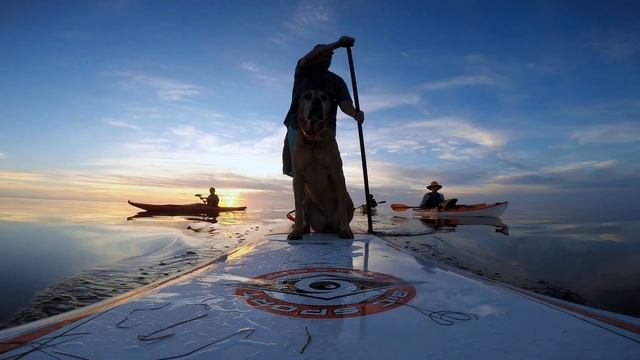 SUP DOG OBX 2015 смотреть онлайн