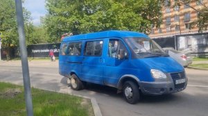 Синяя газель