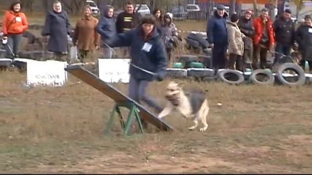 Осенние шуршалки Барнаул 2012 смотреть онлайн