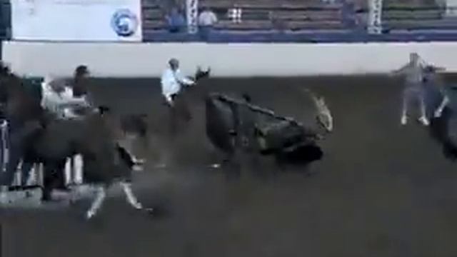 ролик смотреть онлайн