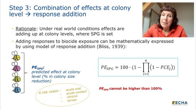 Getting familiar with ECHA's guidance to assess risks of biocides to bees смотреть онлайн