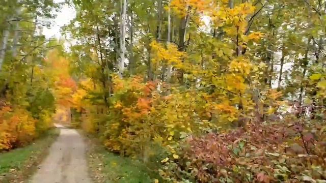COUPLE CYCLING ON TANDEM BICYCLE DURING AUTUMN LEAVES / OBENSKIS VLOG смотреть онлайн