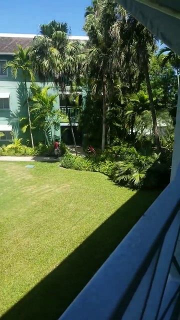 Couples Negril (View from my balcony) #series #shorts #viral #holiday #vacation #jamaica #negril смотреть онлайн