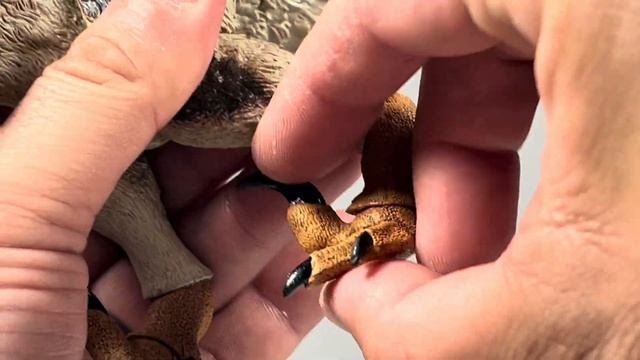 Beasts Of The Mesozoic Utahraptor Ostrommaysi Review!! 1:18 Scale Articulated Dinosaur Figure