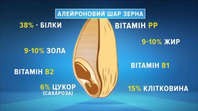 🍞 Дієтолог Людмила Гончарова: все про хліб! 🍞 смотреть онлайн