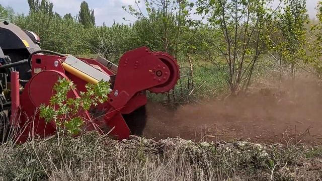 Мульчирование