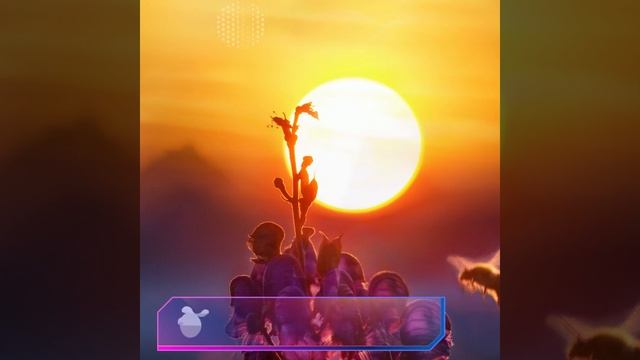 Sol na Astrologia смотреть онлайн