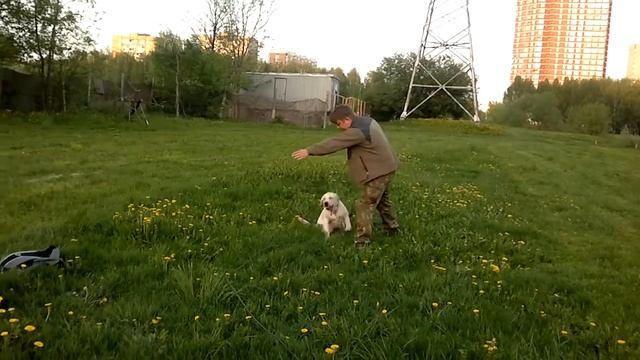 место далеко смотреть онлайн
