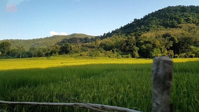 เที่ยวประเทศลาวEP.3 หลวงพระบาง น้ำตกตาดกวางสี เมืองมรดกโลกธรรมชาตฺิสวยงามมาก