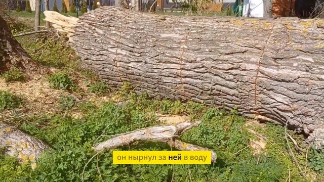 На крючке 🤣 глупость рыбака или эпическая неудача? Смех на озере! Веселая рыбацкая история