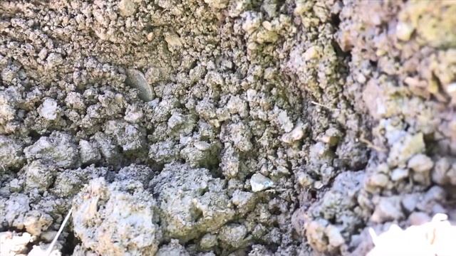 Large Cent found! Metal detecting Bucks County, PA 3/25/19 смотреть онлайн
