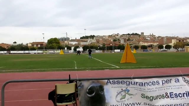 Campionat Catalunya Ipo 2013 El Mali Volador смотреть онлайн