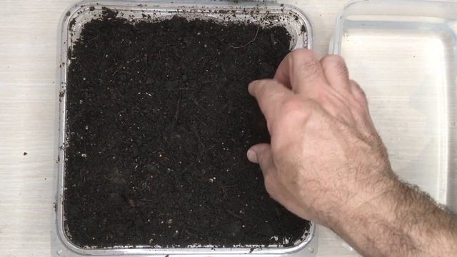 En Hızlı Ceviz Çimlendirme Yöntemi Hangisi смотреть онлайн