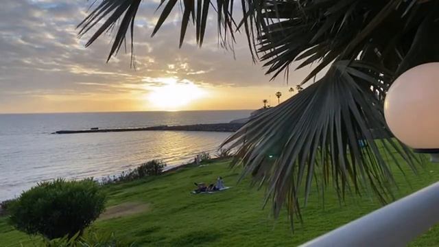 🔴 LIVE: Tenerife South Drive Tour & Sunset Meal In Fañabe Adeje